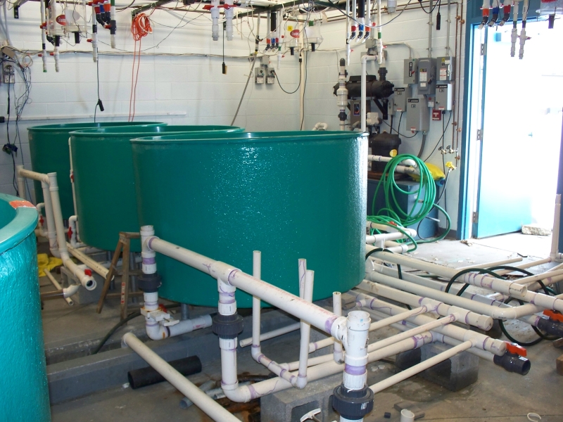 Three large round tanks sit among exposed pipes in a lab