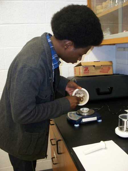 A student stands at a counter and scrapes a brown powder from a pestle into a metal tray on a scale