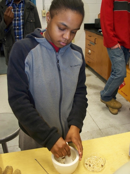 A person uses a mortar and pestle to grind a sample. There are two people behind them.