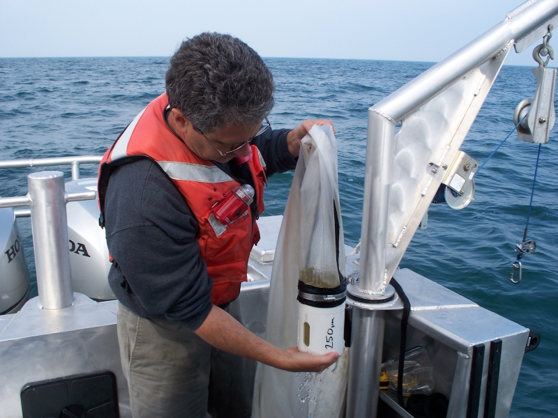 A person on the back of a boat, holding the jar at the bottom of a long net