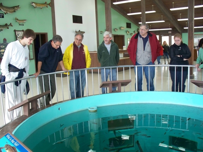 A group of people stand around a large round aquarium in the floor, leaning on the railing. The wall behind them has mounted fish.