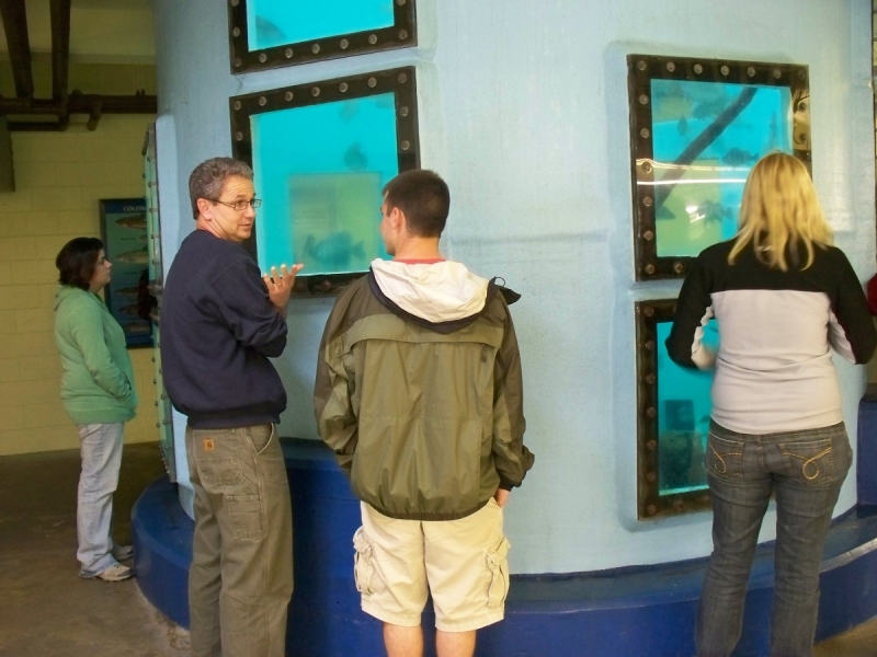 People stand around the bottom of a very tall fish tank, looking through various viewing windows