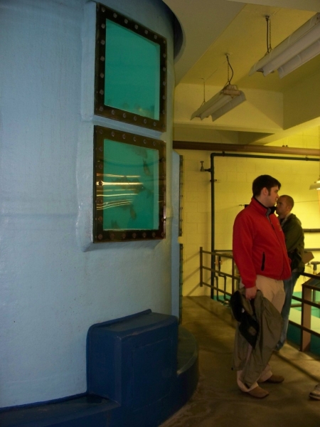 Two people stand near the bottom of a very tall fish tank with various viewing windows