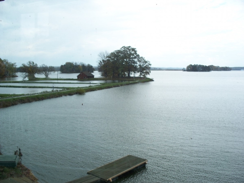 A body of water. On the left is a narrow piece of land with a large tree, a small building, and some rectangular ponds. At the bottom of the image is a wooden dock.