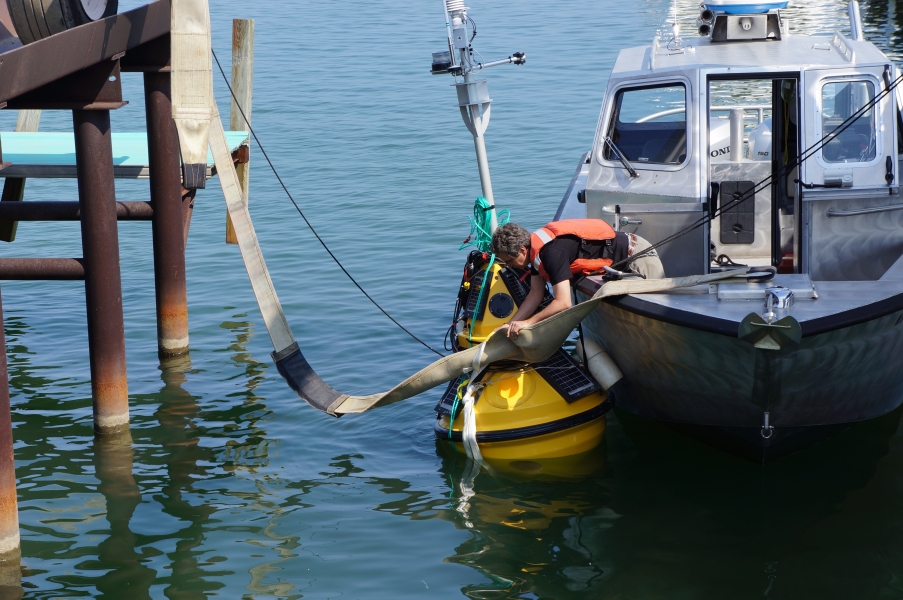 A person on a boat leans over the side to remove a large strap from a buoy.