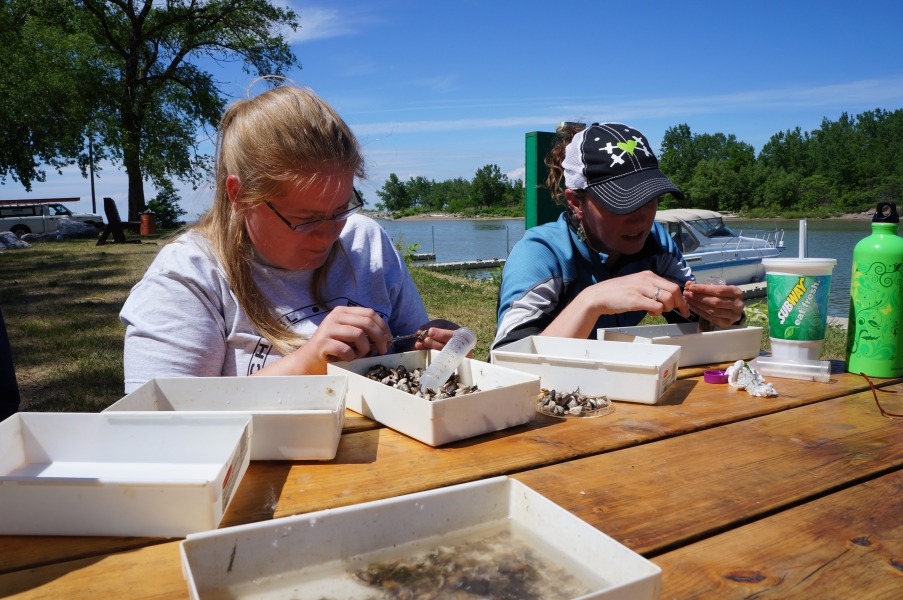 Two people sit at a picnic table and pick through samples in small plastic trays.