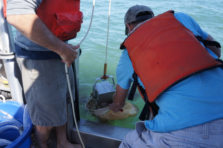 One person on a boat holds a rope with a metal grab sampler over the edge of a boat, while a second person puts a net under it at the water level.