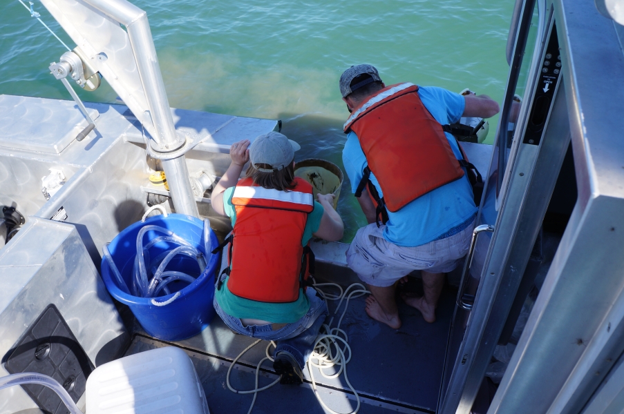 Two people kneel at the edge of a boat. One person is holding a net. There is a plume of brown in the water near where they are working