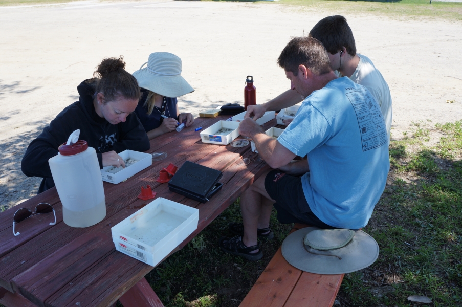 Four people sit at a picnic table, working on samples in small plastic trays.