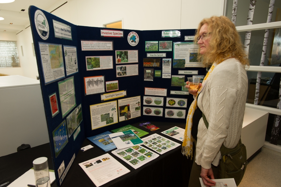 A person stands in front of a display board that has information about invasive species.