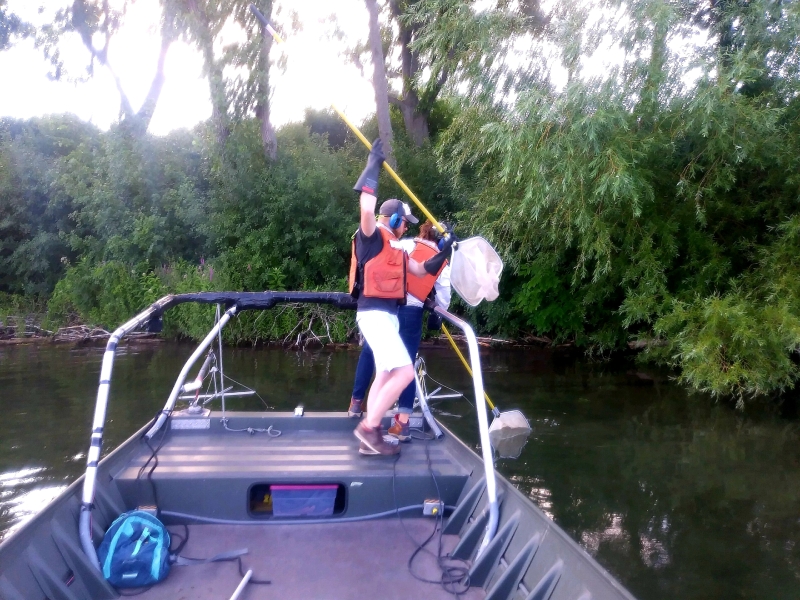 Two people wearing life jackets stand at the front of a boat dipping nets on long poles into the water. There are trees and bushes along the shoreline.