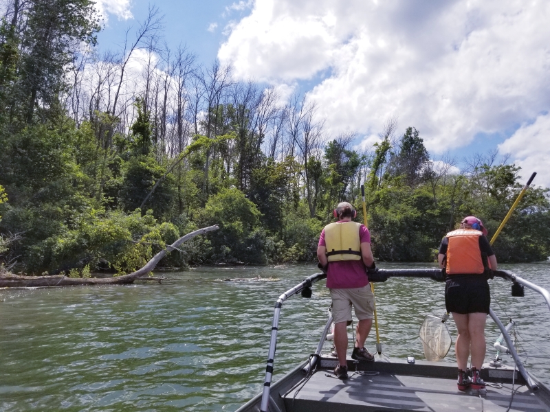 Two people wearing life jackets stand at the front of a boat holding nets on long poles. There are trees and bushes along the shoreline.