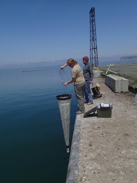 Two people stand at the edge of a wall near the water on a very calm day. One lowers a very long conical net into the water.