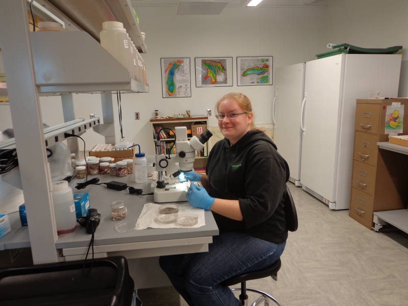 A person wearing gloves works at a microscope in a lab