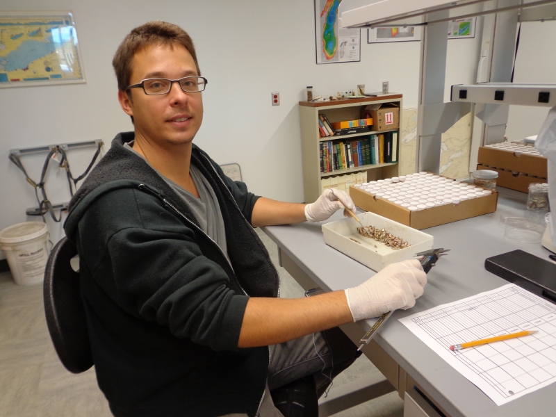 A person wearing gloves sits at a counter in a lab, holding calipers. In front of them is a plastic tray with mussels.