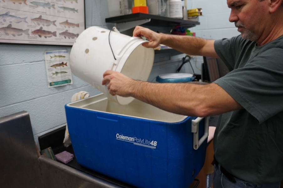 A person pours a small bucket into a cooler sitting on a counter in a lab.