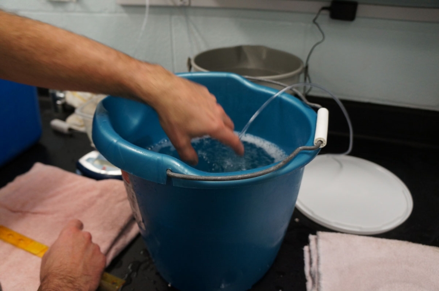 A person's hand over a bucket of bubbling water with a thin tube in it.