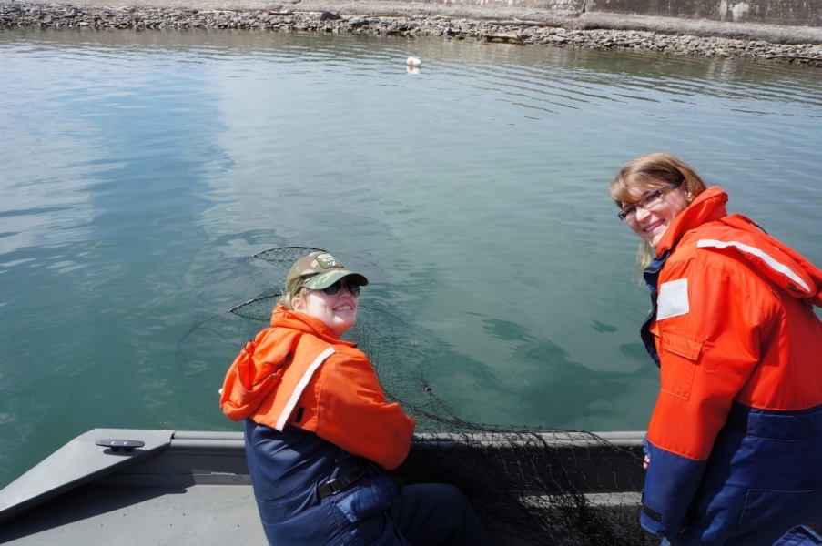 Two smiling people in coldwater safety gear pulling a net with hoops onto a boat