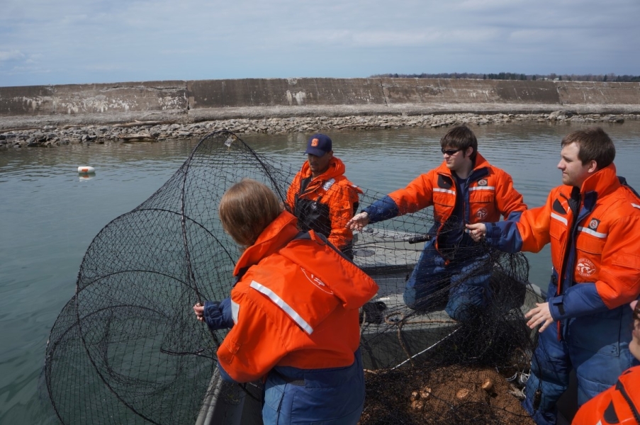 Four people in coldwater safety gear pulling a net with hoops onto a boat