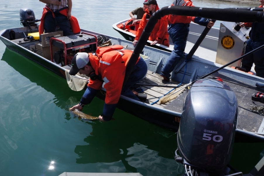 Two boats side by side. A person in the closest boat leans over the side to release a fish into the water