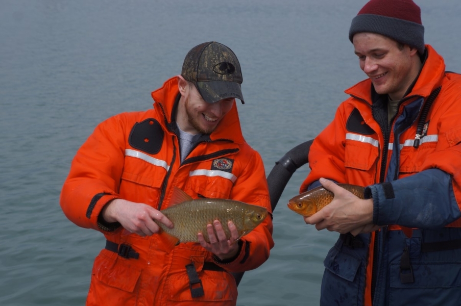 Two people stand in front of water and hold up medium sized fish. They appear to be the same kind of fish but one is tan and the other is orange