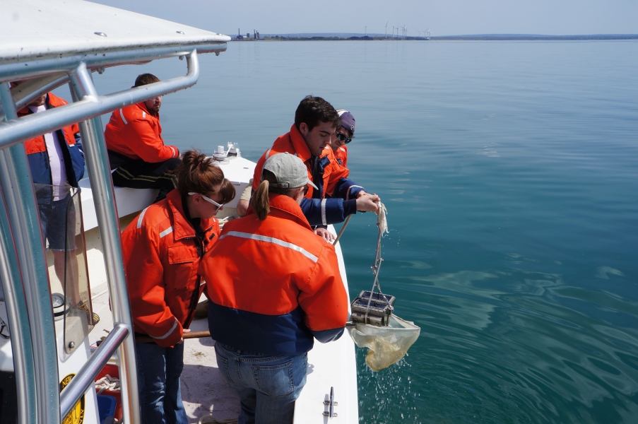 Several people wearing cold water safety gear work at the side of a boat. One is hauling a metal grab sampler over the side while another stands ready with a net to empty it into.