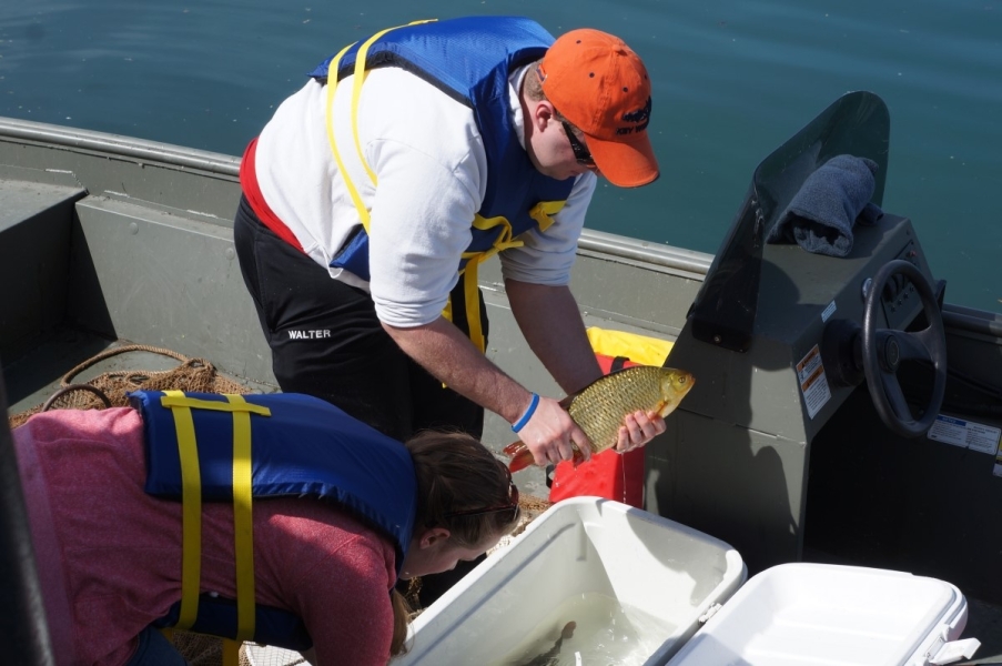 Two people stand on a boat over a cooler full of water and fish. One holds up a fish that is yellowish brown with orange fins