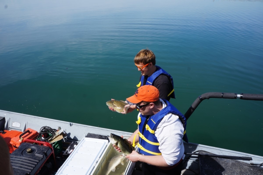 Two people stand on a boat by a cooler full of water and fish. Each person is holding up a medium-sized fish that appear to be similar but different types