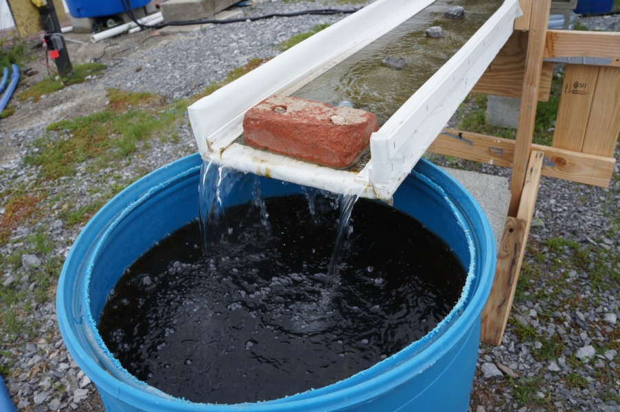 Water flows from the end of a suspended trough into a round barrel. A brick restricts the end of the trough.