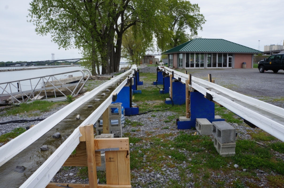 in between two long thin troughs held up about three feet from the ground with water flowing over a thin layer of algae and evenly spaced rocks, set up on the waterfront.