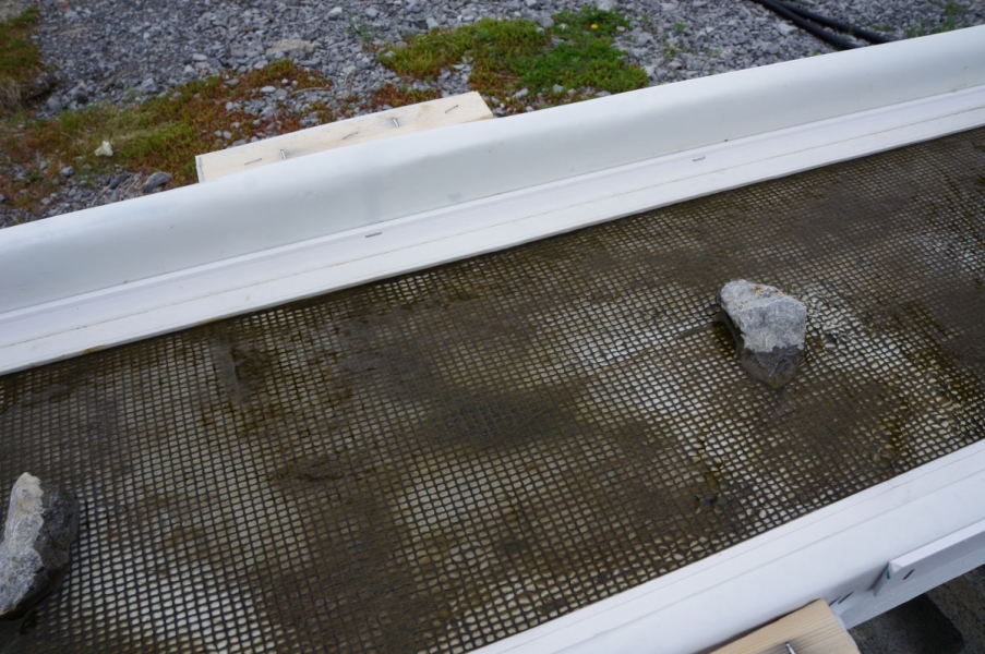 Water flows through a trough with some algae on a mesh screen and a few rocks