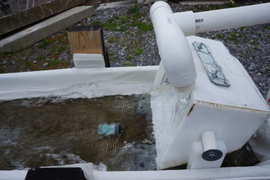 Water flows from a tipped small rectangular bucket over a trough with some algae and a small green sensor