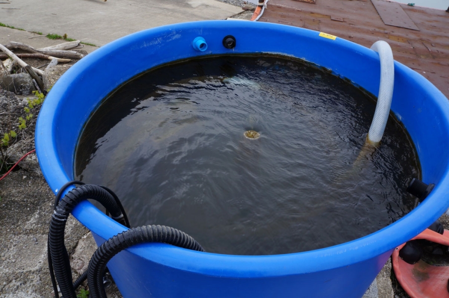 A large tank of water with three hoses coming over the edge.