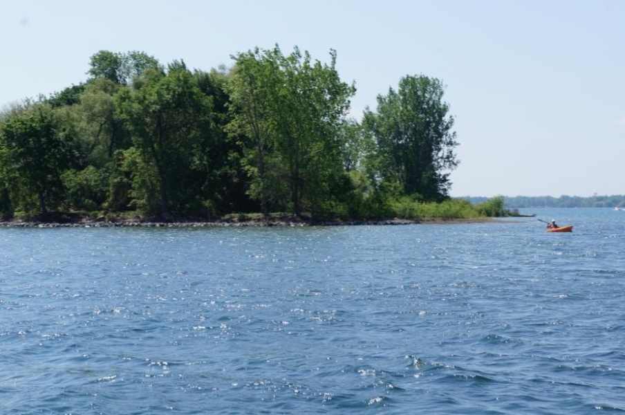 Trees on an island in a river. A person in a kayak is nearby.