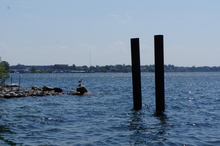 Two metal pilings stand in the water. There are some rocks in the water to the left, and a gull sitting on a rock.