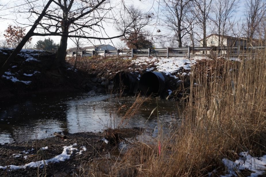 Water pools and flows from two large culverts under a road.