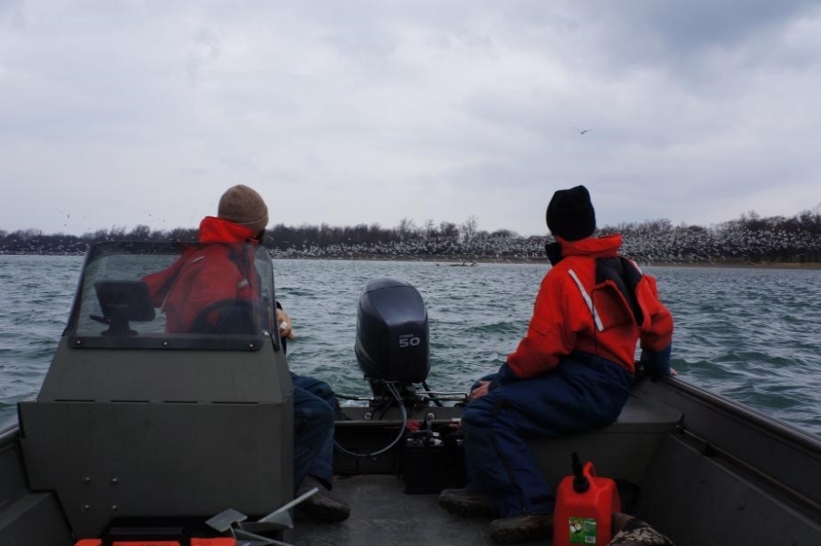 Two people in cold water safety suits and winter hats in the back of a boat look behind them toward a thick flock of white birds flying over the water.