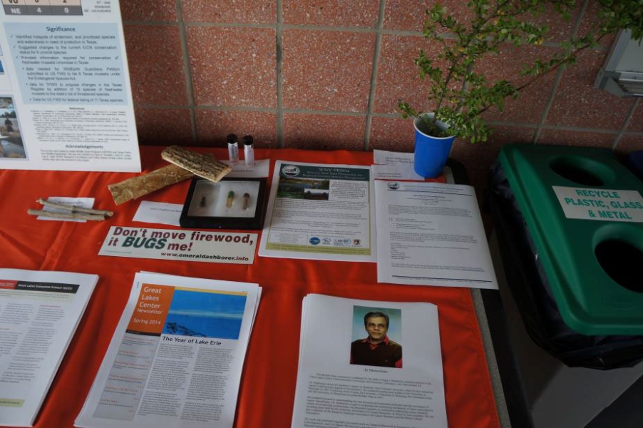 a table set up with papers, a poster, preserved bugs, and a small plant