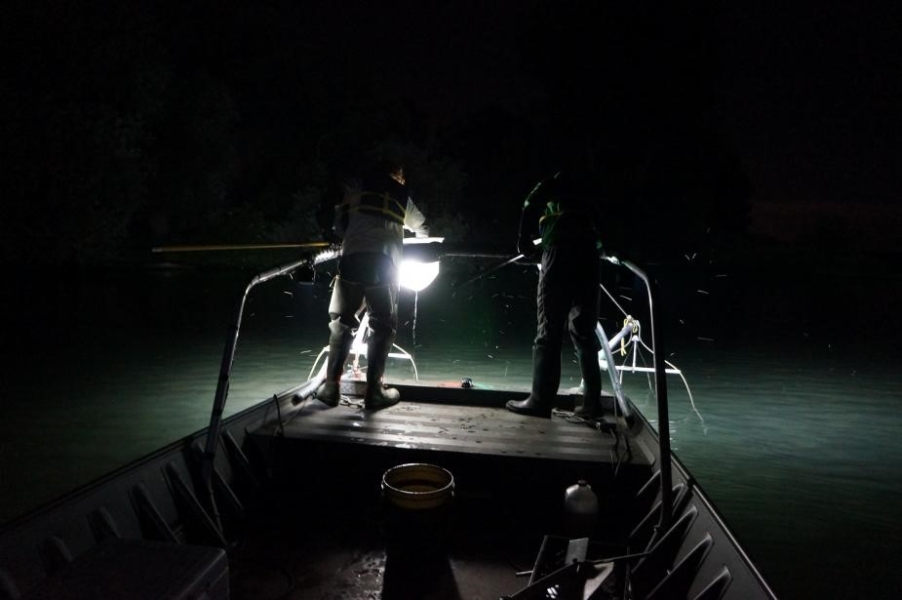 Nighttime picture of two people standing at the edge of a boat holding nets on long poles.