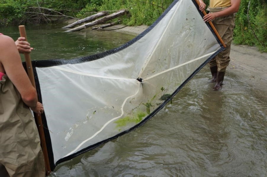 two people stand in shallow water and hold an 8 foot by 3 foot rectangular net with a small bucket in the center