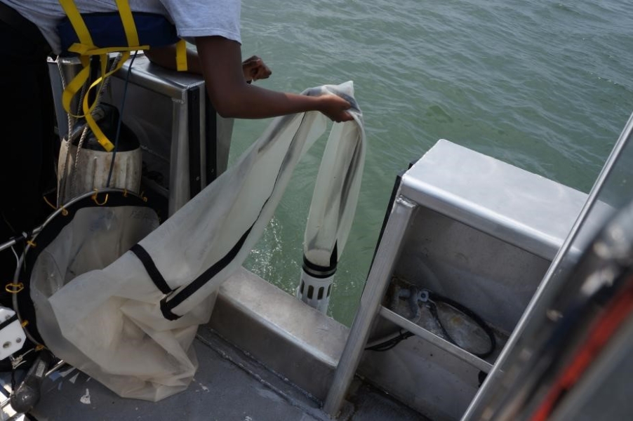 A person on a boat pulls the end of a net out of the water