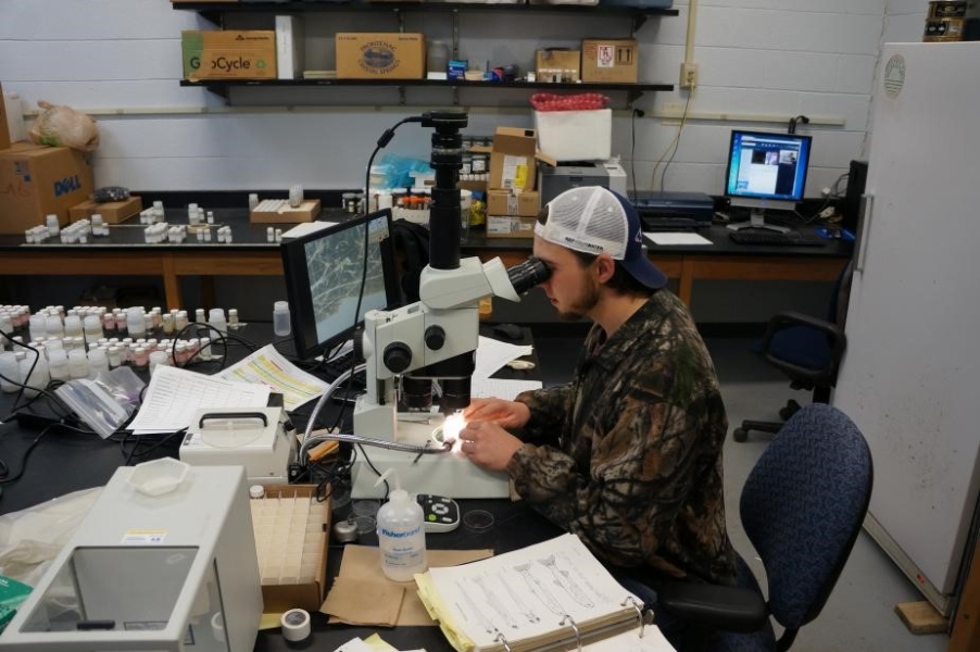 a person sitting at a microscope in a lab with many little vials of samples and other equipment