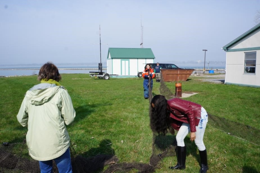 People standing in a field setting up a large net. Two people have pulled pieces of the long net out far away