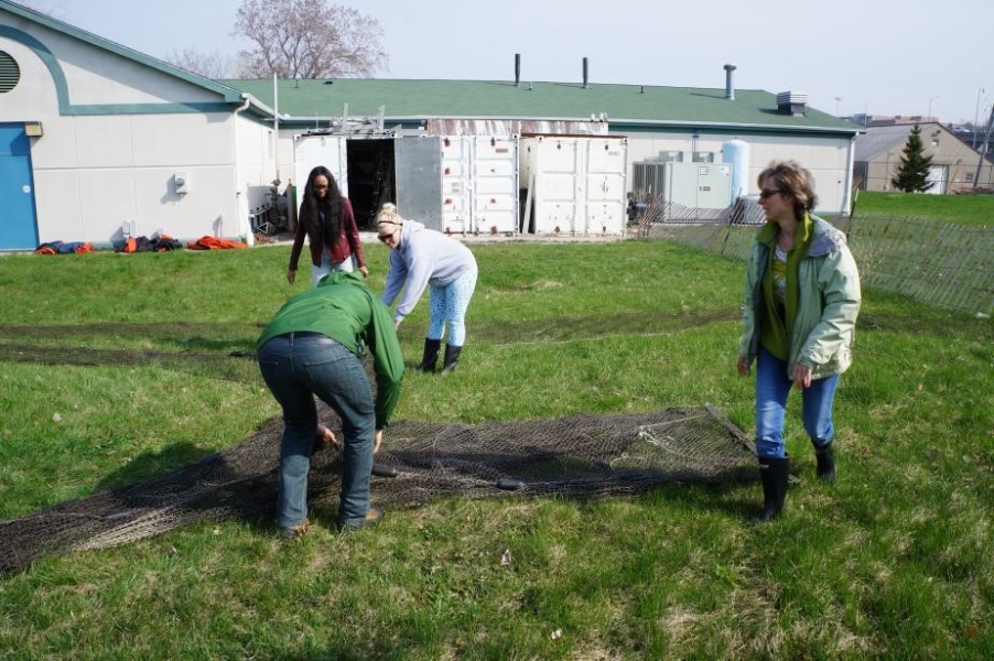 People standing in a field setting up a large net. There are multiple long sections of net