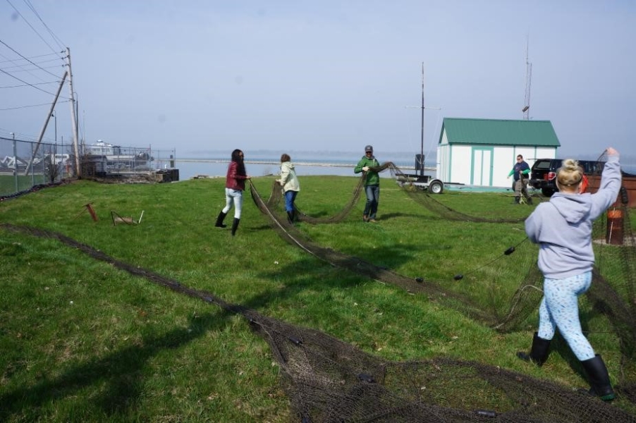 People standing in a field setting up a large net with multiple long sections