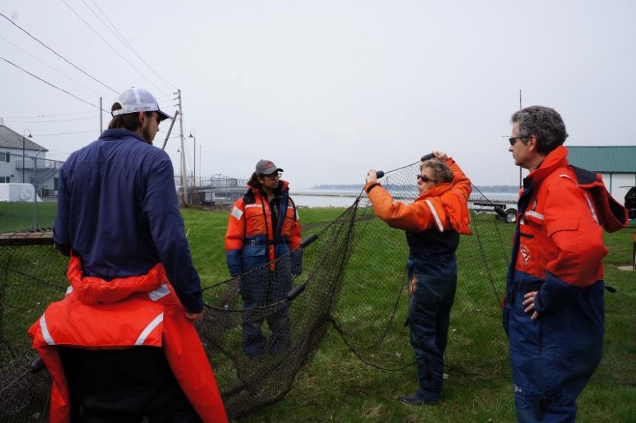 A group of people stand around as someone holds up a long flat section of netting