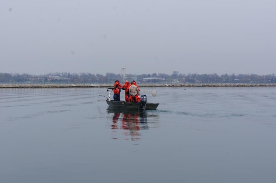 People stand on a shallow boat a distance away in the water