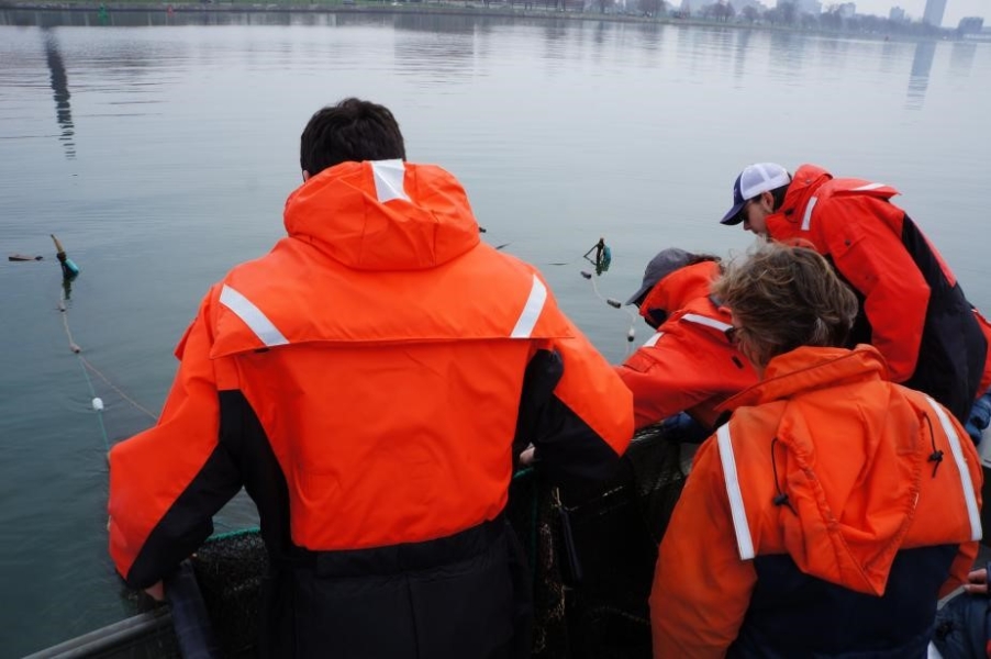 Students lean over the side of a boat to pull something on board