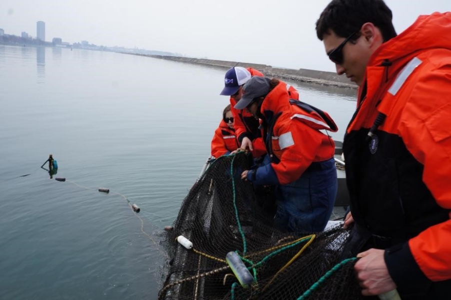 Students pulling black netting onto a boat, much netting is already on board