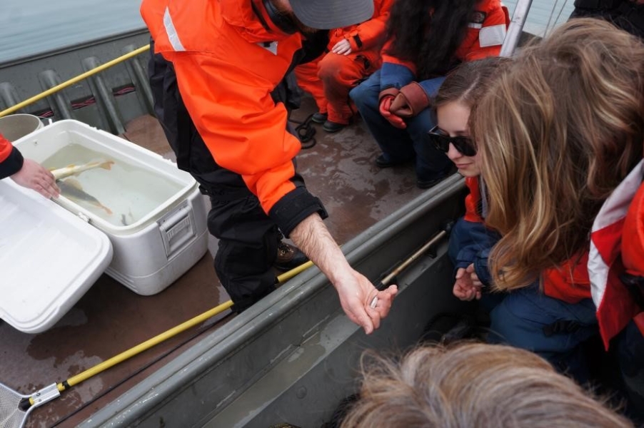 Two boats side-by-side. A person in one boat with a cooler of water and fish is holding out a tiny fish for people in the other boat to see.